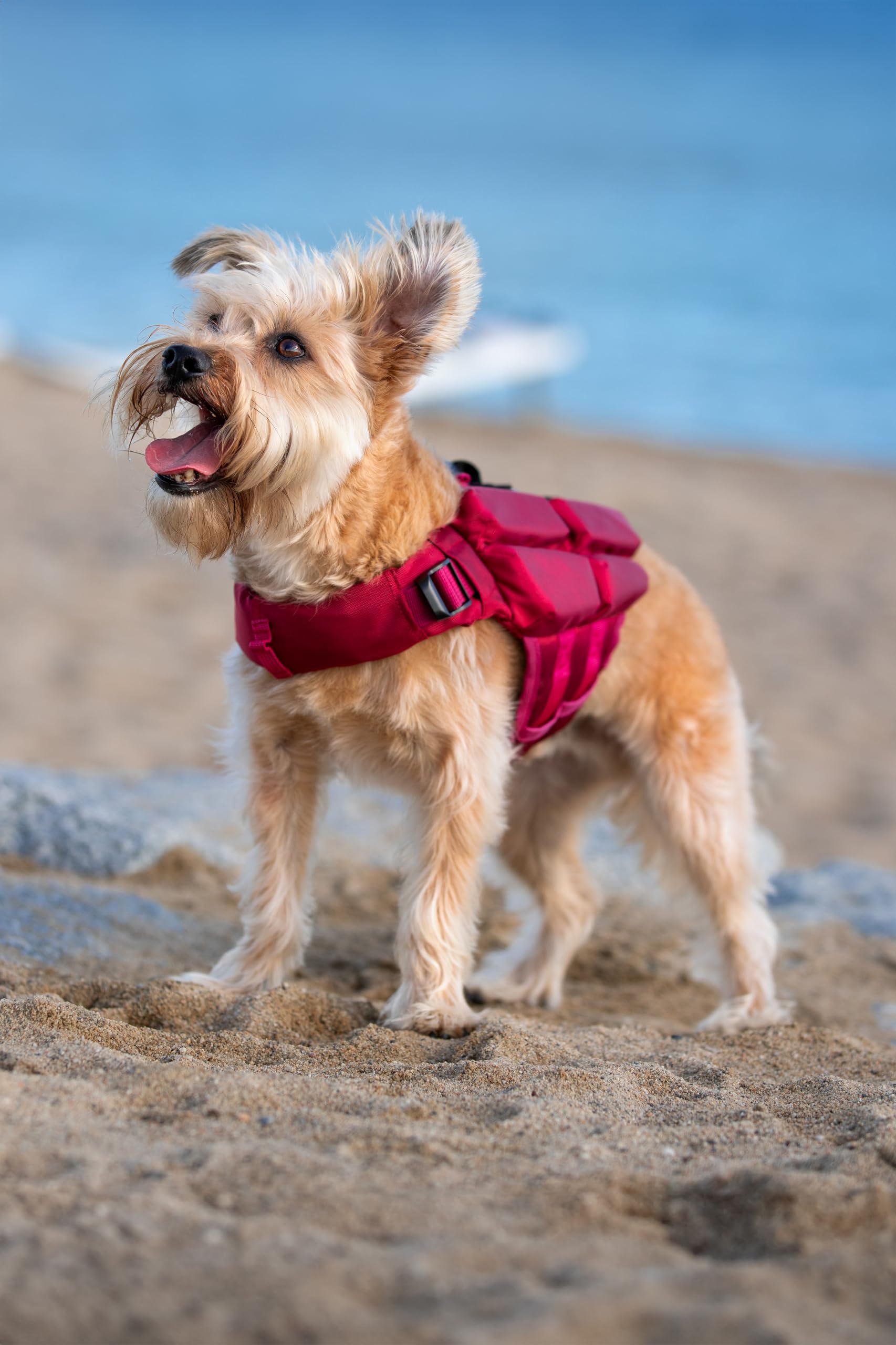 NOAH & PAW life jacket demonstrates stable buoyancy during swimming sessions