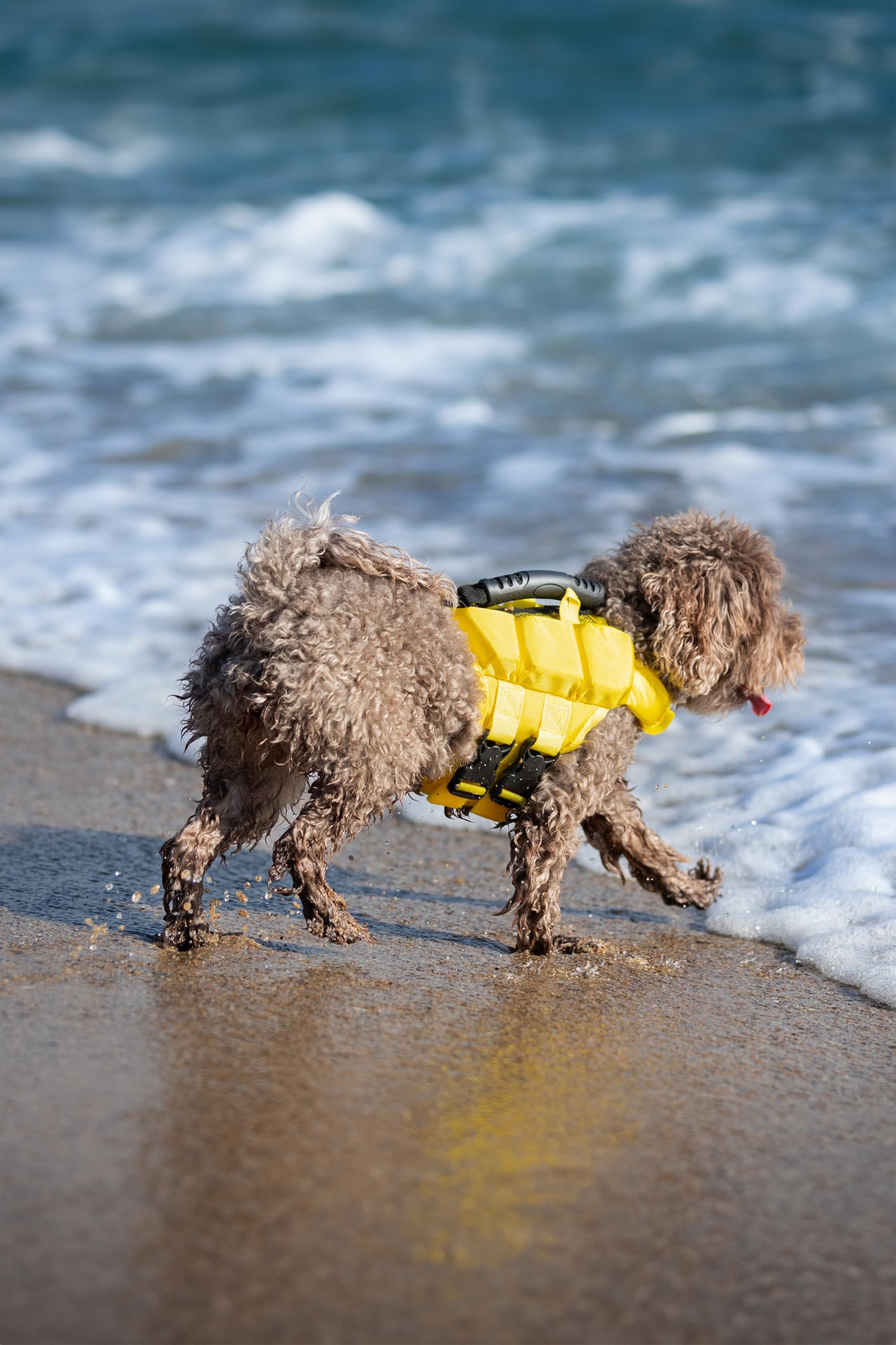 NOAH & PAW dog life jacket quick-adjust belts for effortless fit.