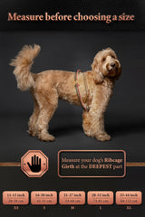NOAH & PAW dog life jacket reflective stripe enhances visibility outdoors