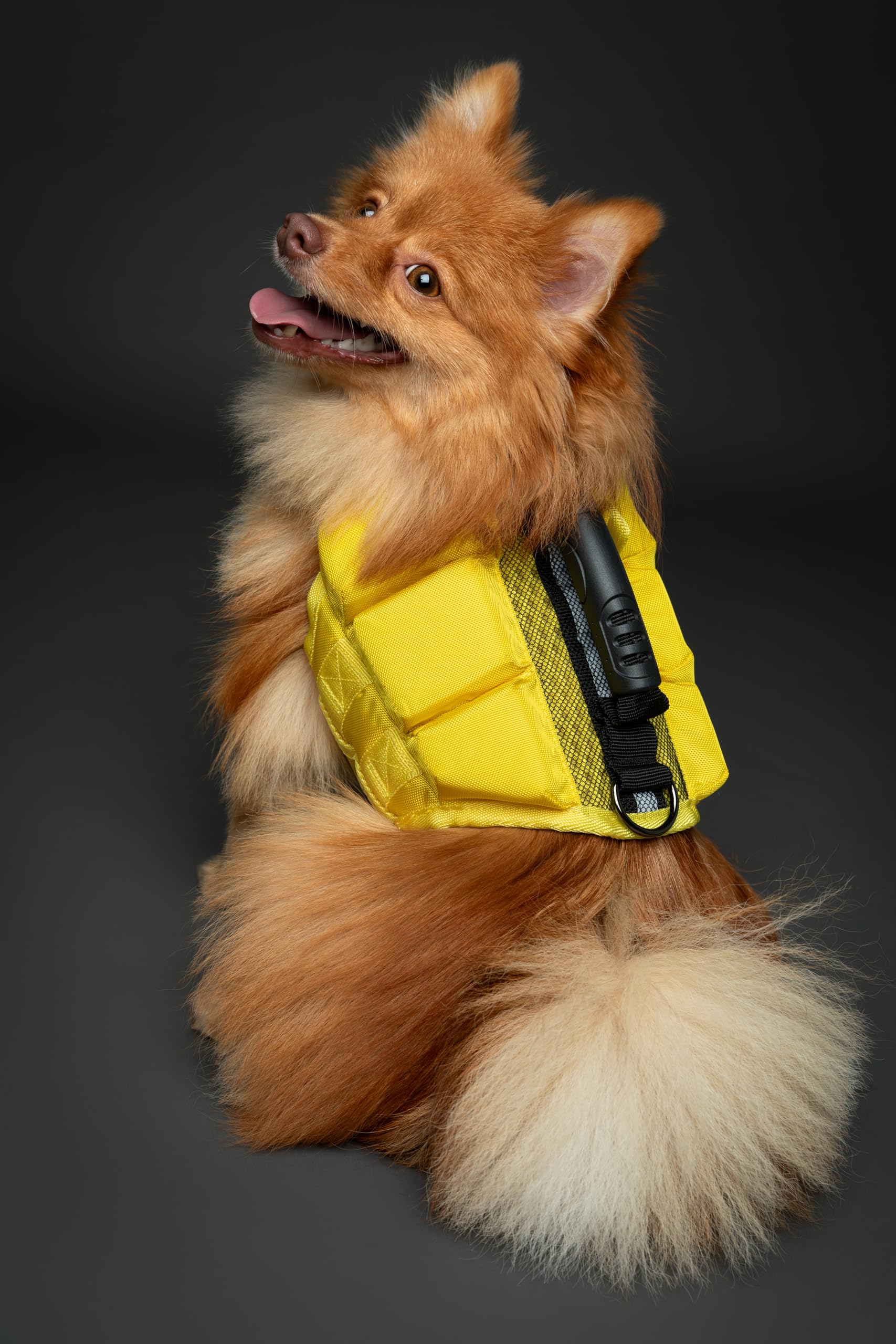 NOAH & PAW life jacket side fit highlighting side foam buoyancy and mobility.