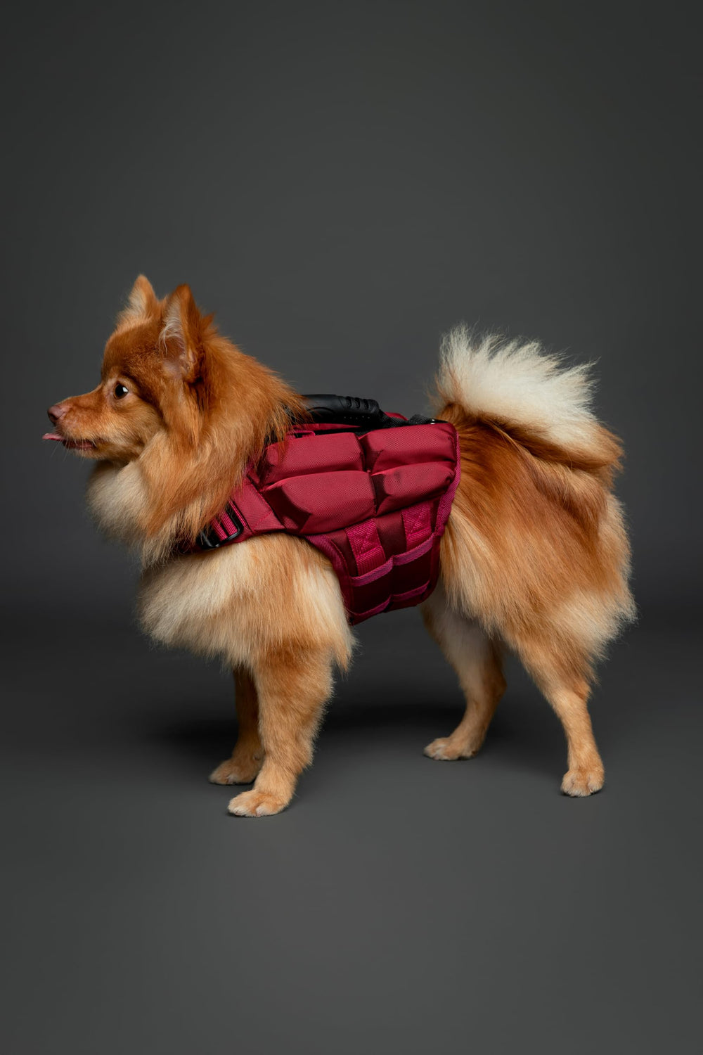 NOAH & PAW Life Jacket side view showing balanced buoyancy for wading