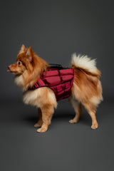 NOAH & PAW Life Jacket side view showing balanced buoyancy for wading