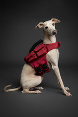 NOAH & PAW dog life jacket with triple-foam sides for enhanced buoyancy
