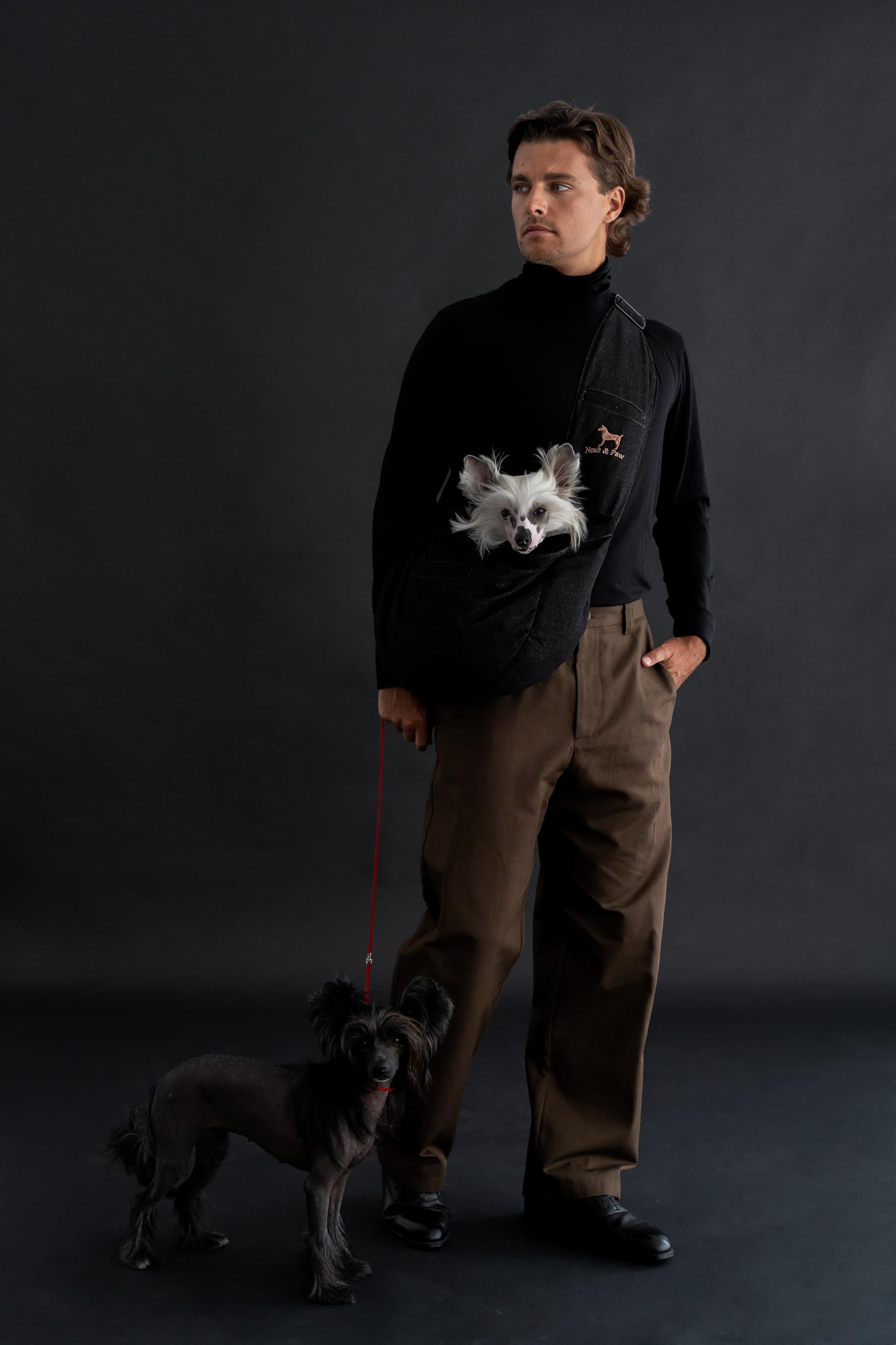 NOAH & PAW dog sling adjustable shoulder strap for a customizable, secure fit.