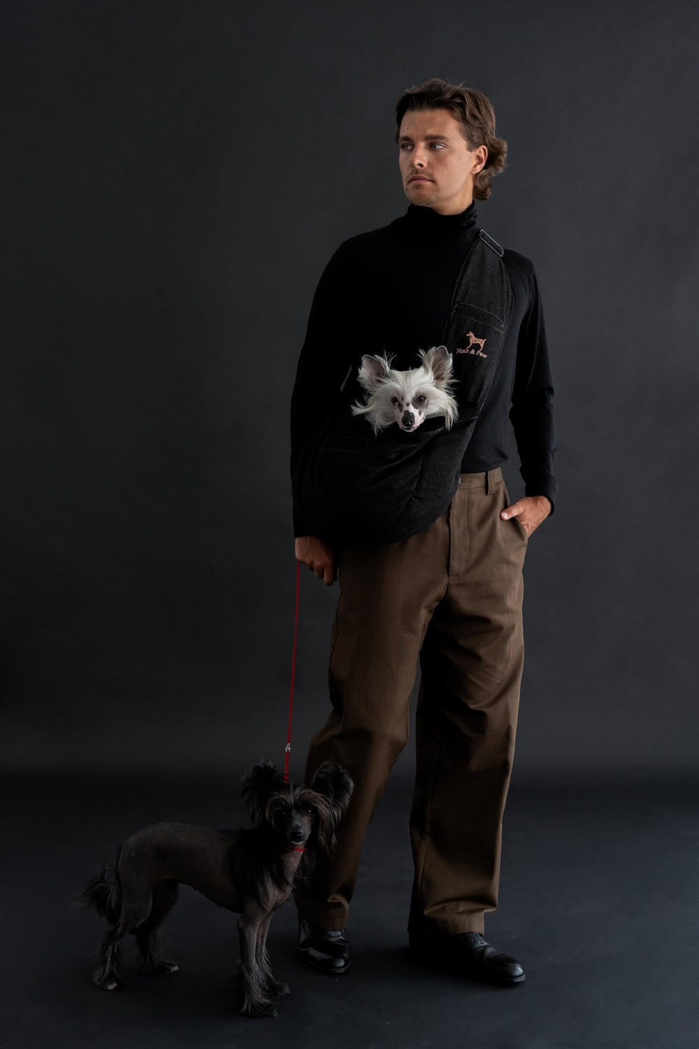NOAH & PAW dog sling adjustable shoulder strap for a customizable, secure fit.