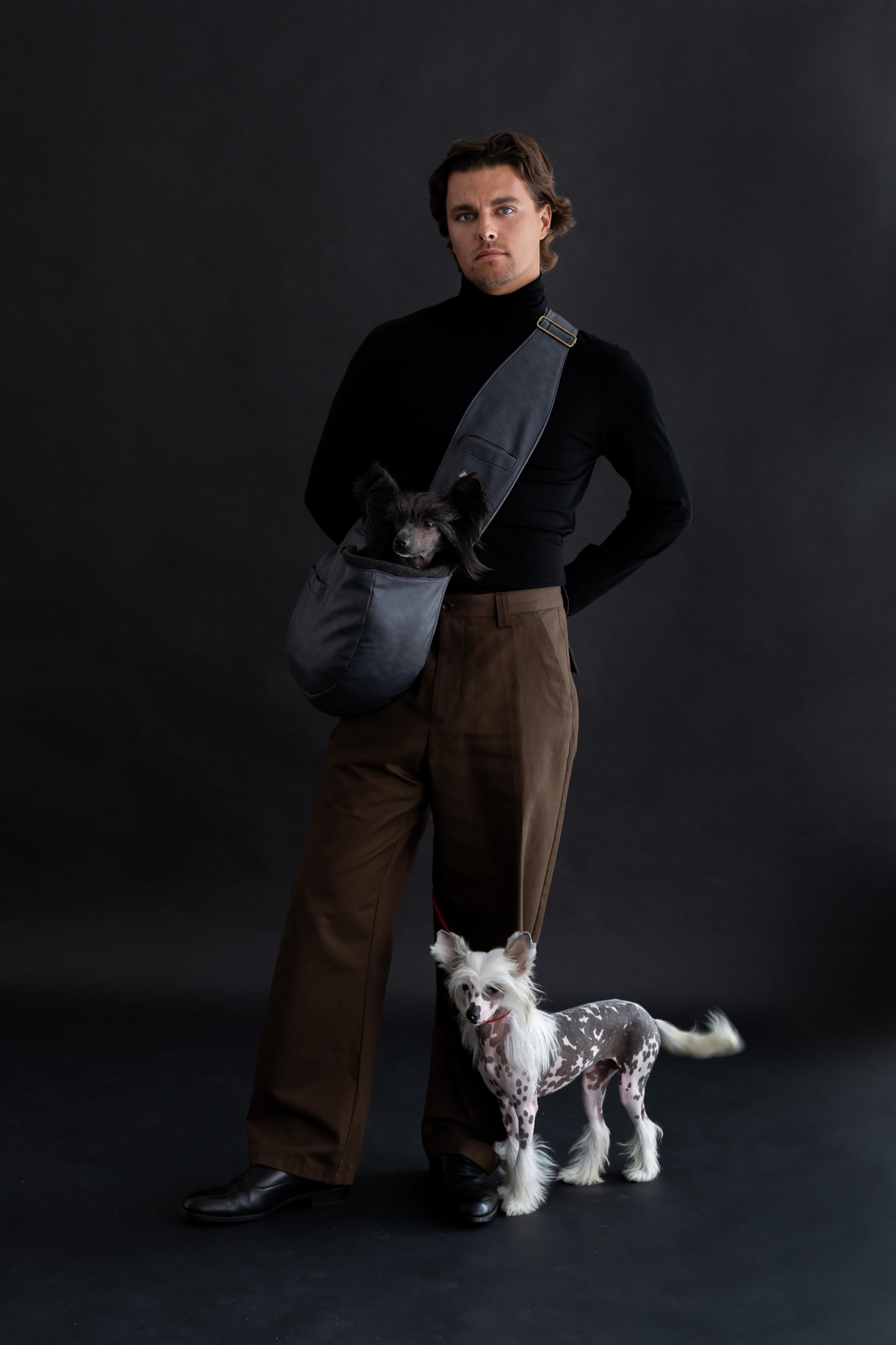 Noah & Paw shows 3x safety features for secure pet transport.