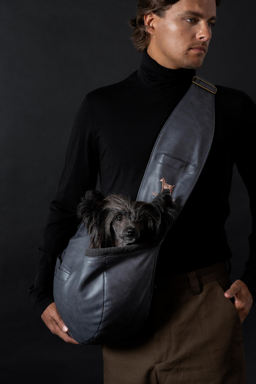 Noah & Paw ideal for traveling with cats or small dogs.