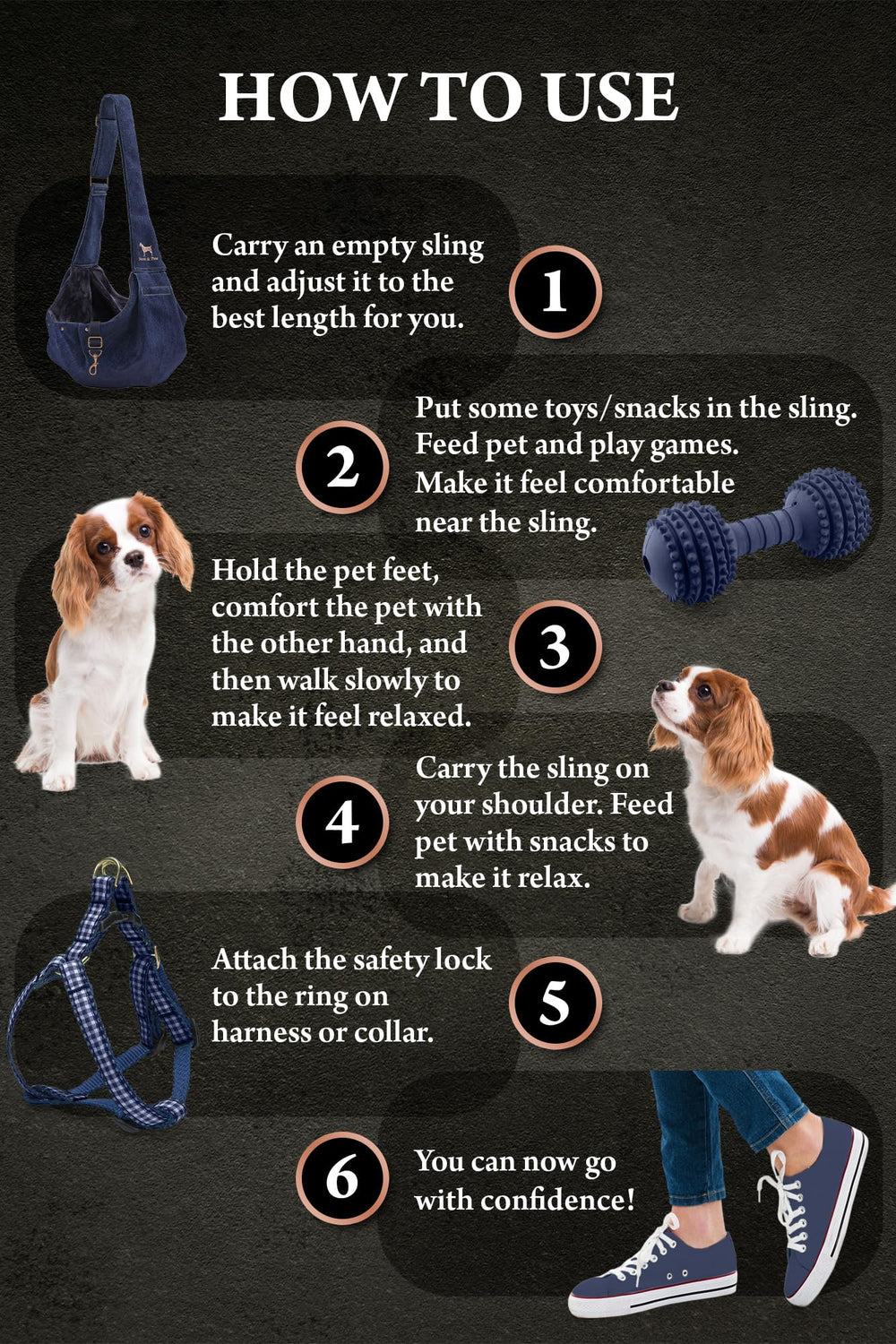 NOAH & PAW cat-dog usage shows versatile carrier for small pets