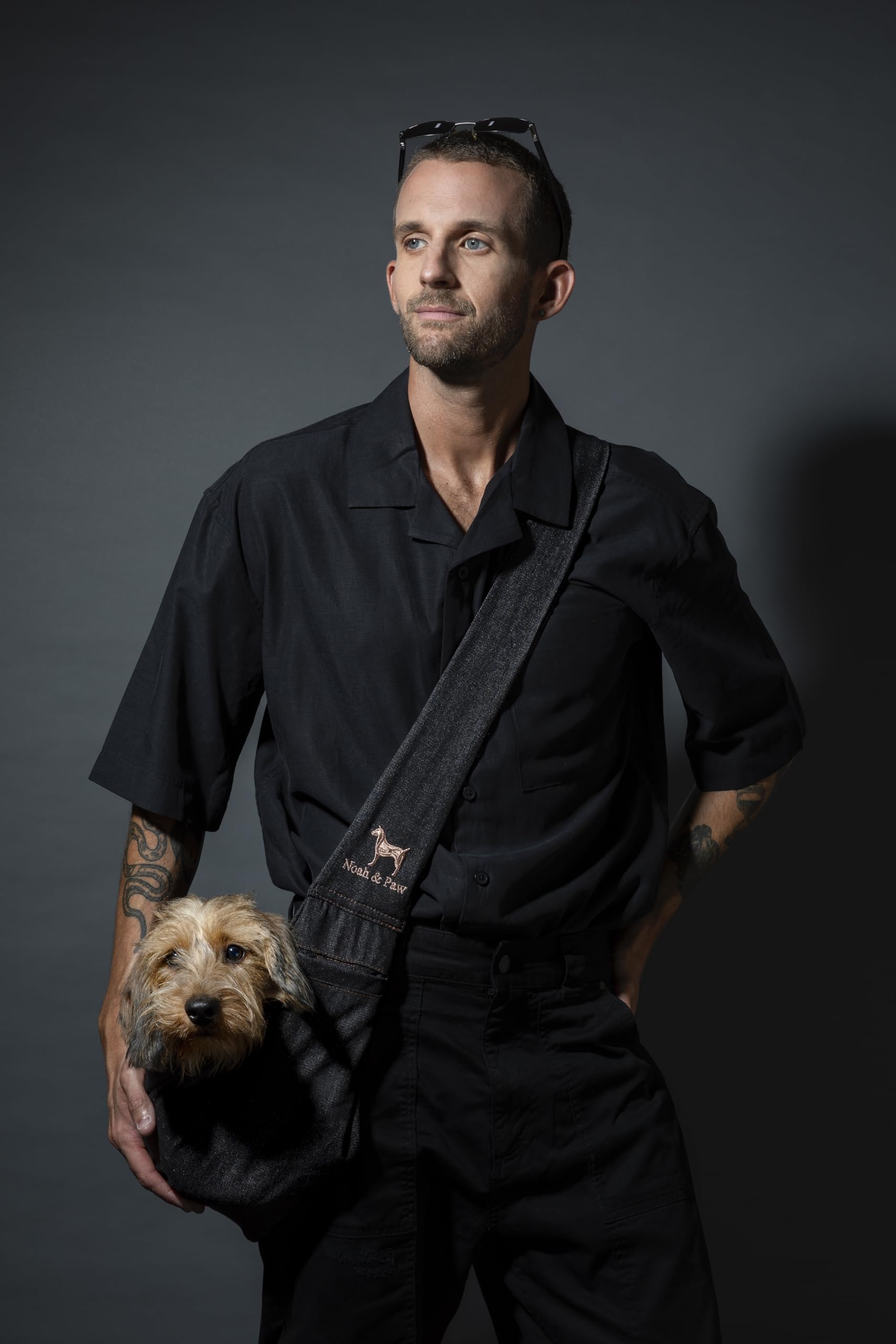 NOAH & PAW cat usage in sling shows versatility for small pets