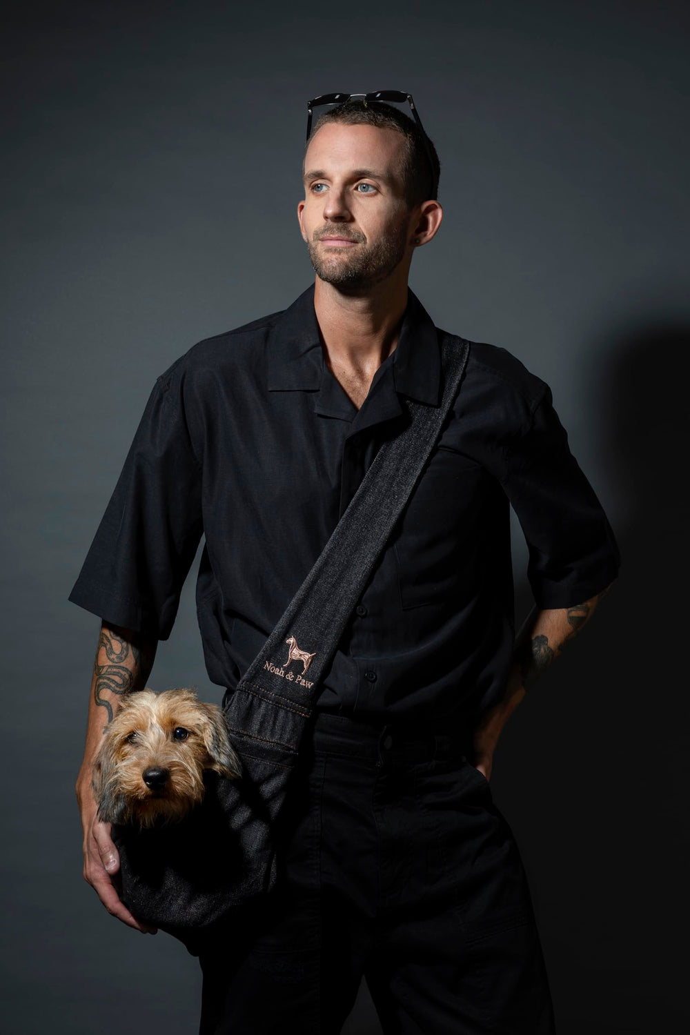 NOAH & PAW cat usage in sling shows versatility for small pets