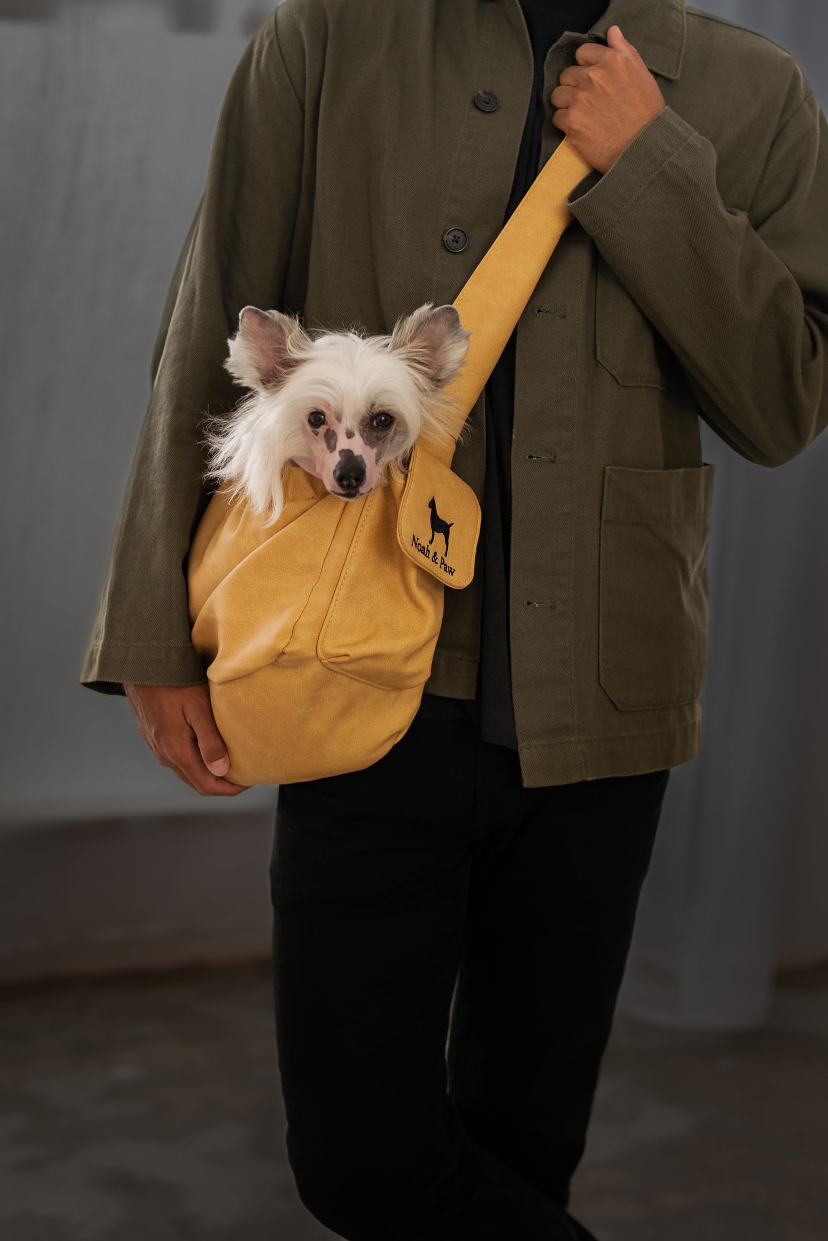 Noah & Paw compact design is easy to store between outings.