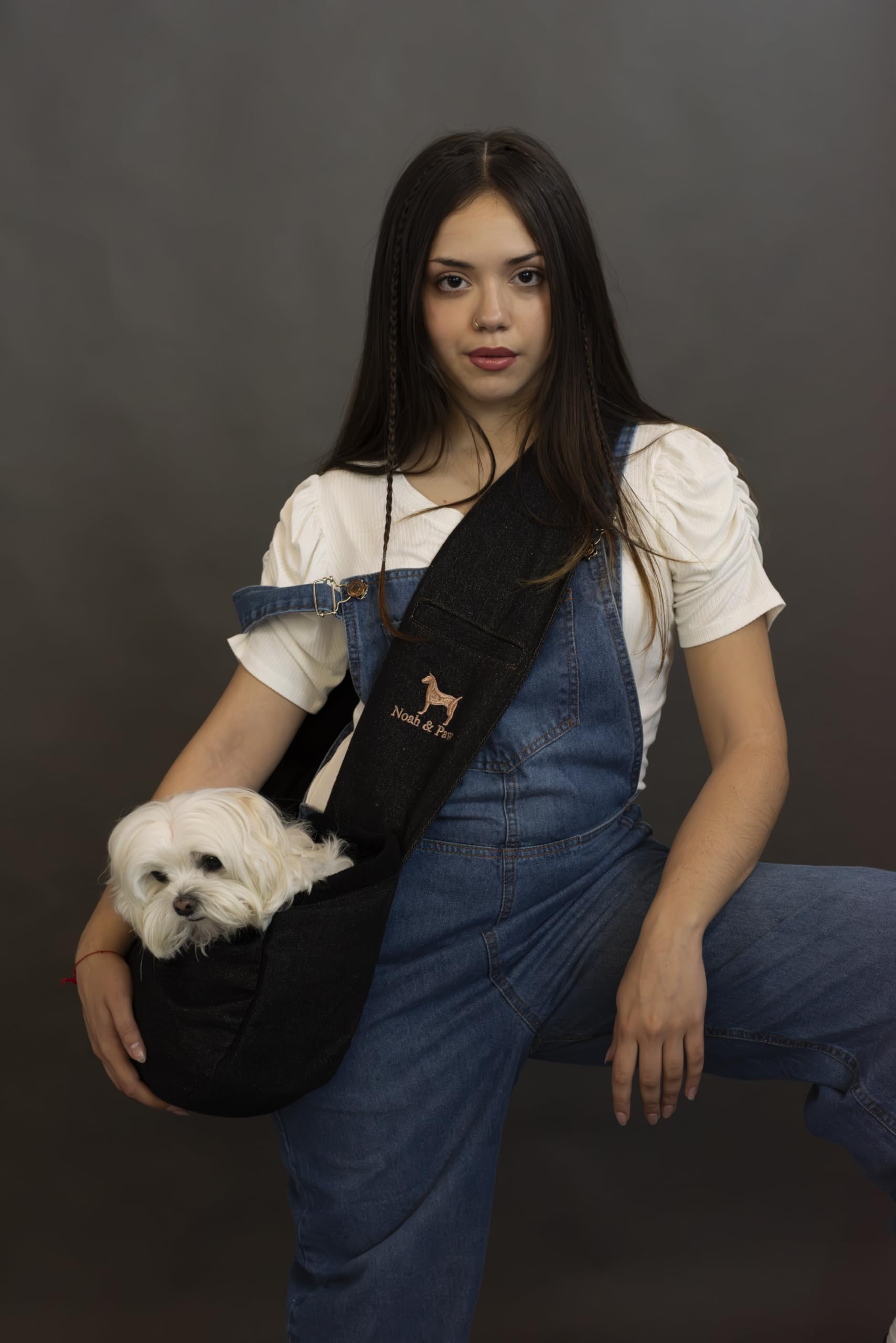 Noah & Paw dog sling denim lining fur detail highlights plush interior comfort.
