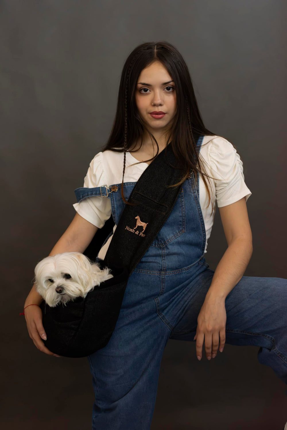 Noah & Paw dog sling denim lining fur detail highlights plush interior comfort.