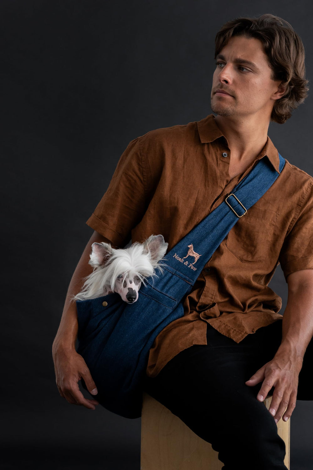 Noah & Paw dog sling double safety belt for secure carrying.