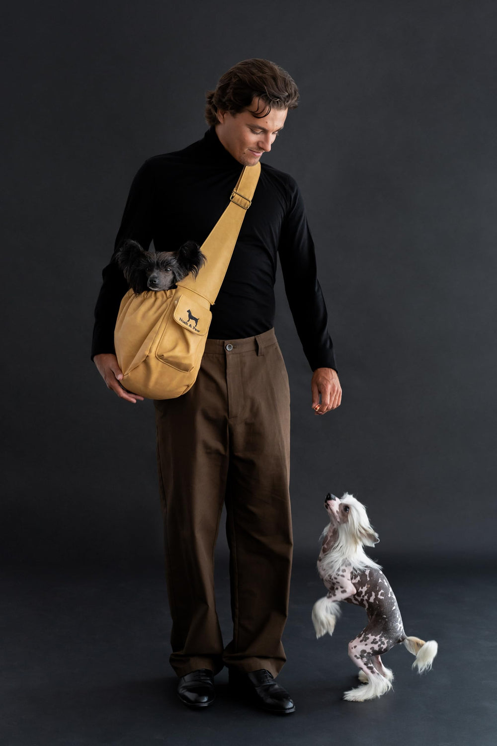 Noah & Paw double safety feature keeps small pets secure during outings.