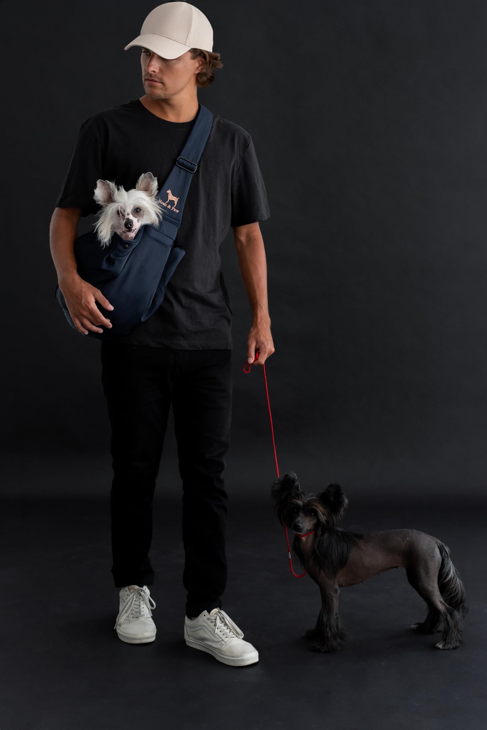 NOAH & PAW dog sling safety belt and snap for secure outings