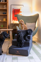 NOAH & PAW 3-step configuration demonstrates compact setup for small spaces