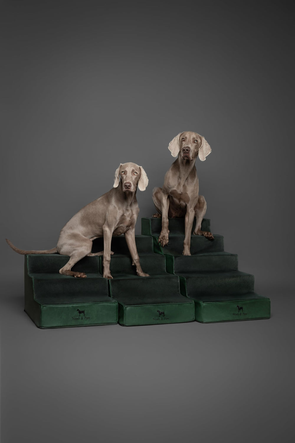 Noah & Paw 3-step option highlights compact footprint for small spaces.