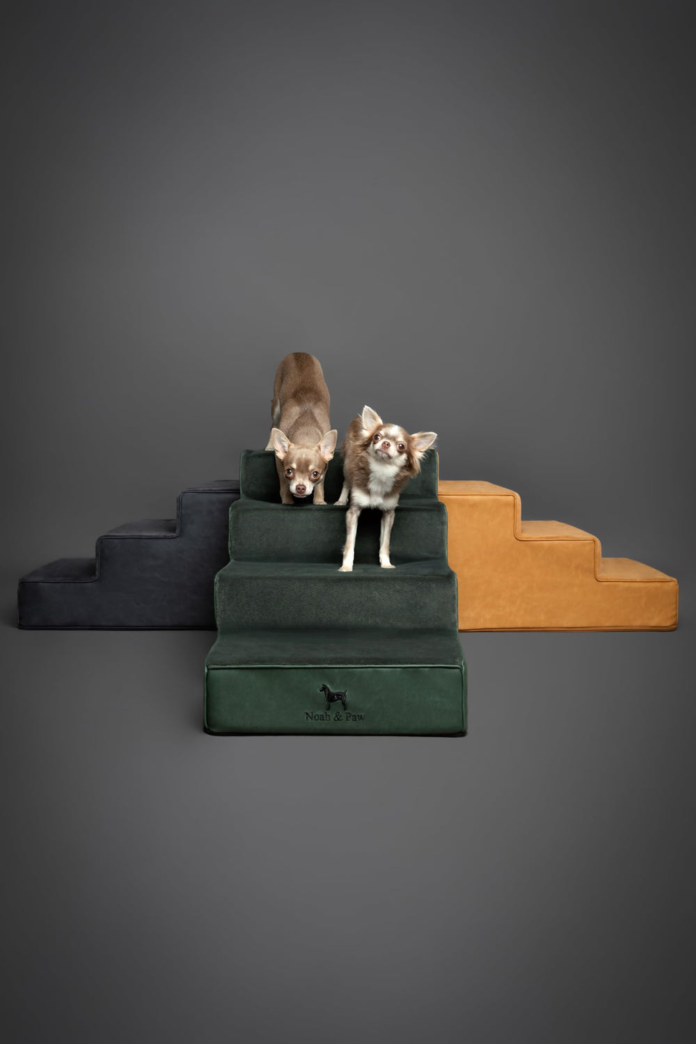 Noah & Paw 4-step option demonstrates versatile height compatibility with various furniture.