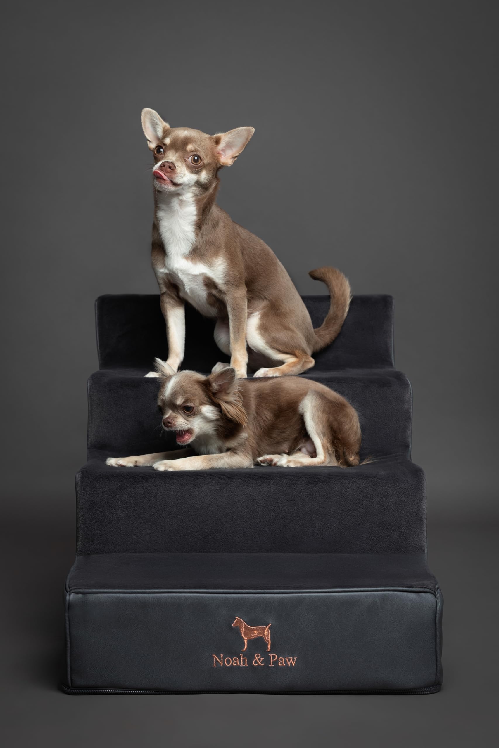 NOAH & PAW 5-step configuration illustrates flexible height options for various furniture