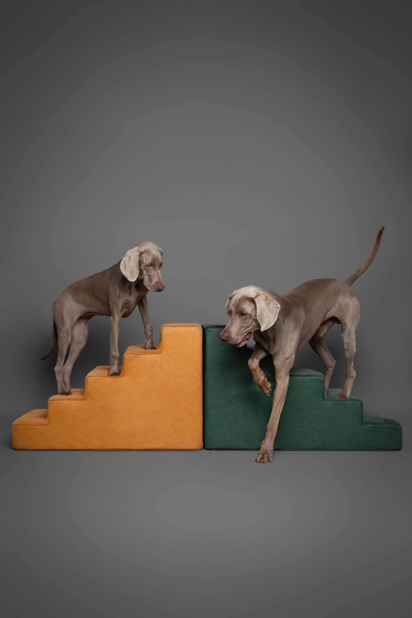 NOAH & PAW dog stairs suitable for puppies to large dogs across furniture heights