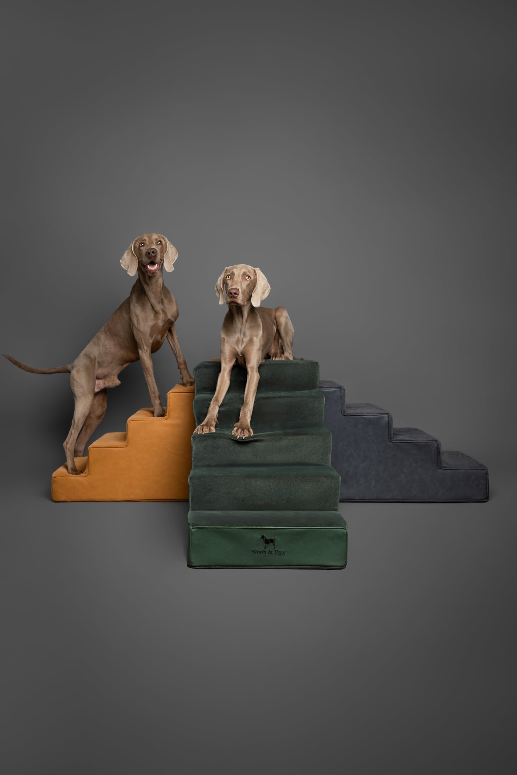 NOAH & PAW dog stairs care and cleaning with air-drying after washing