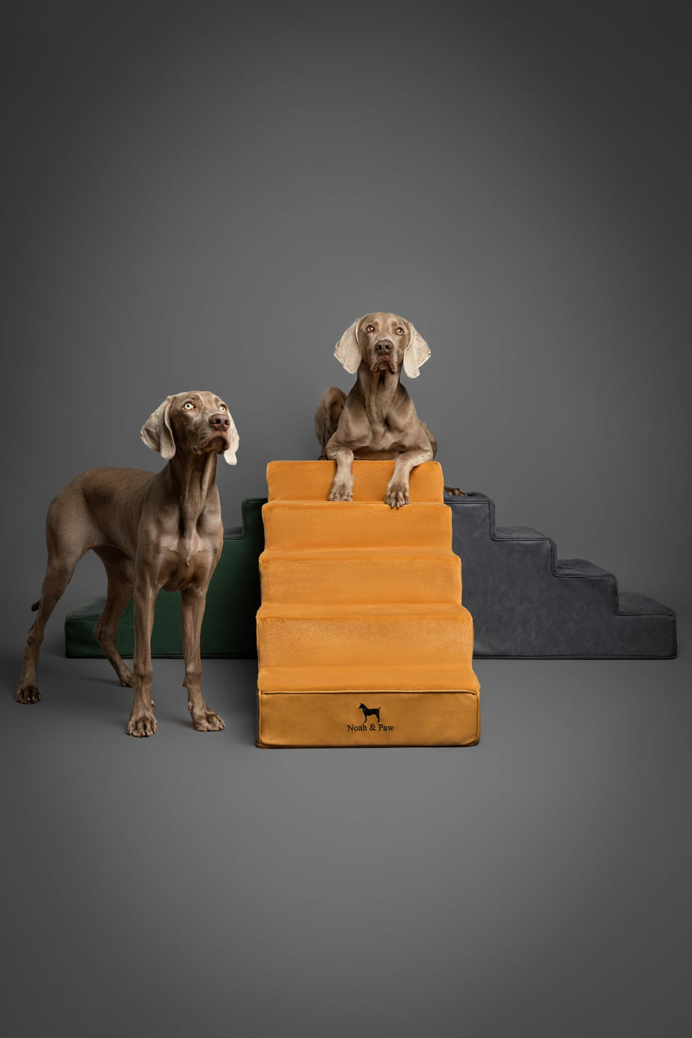 Noah & Paw couch-height dog stairs use case for safe climb