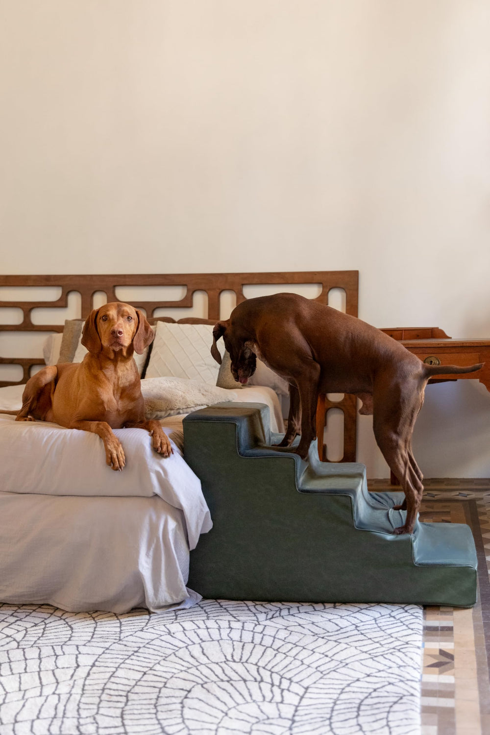 NOAH & PAW dog stairs extra-wide 20-inch steps support large breeds for safe climbs
