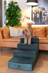 Noah & Paw foam-core 35-density image emphasizes durable support for eager climbers.