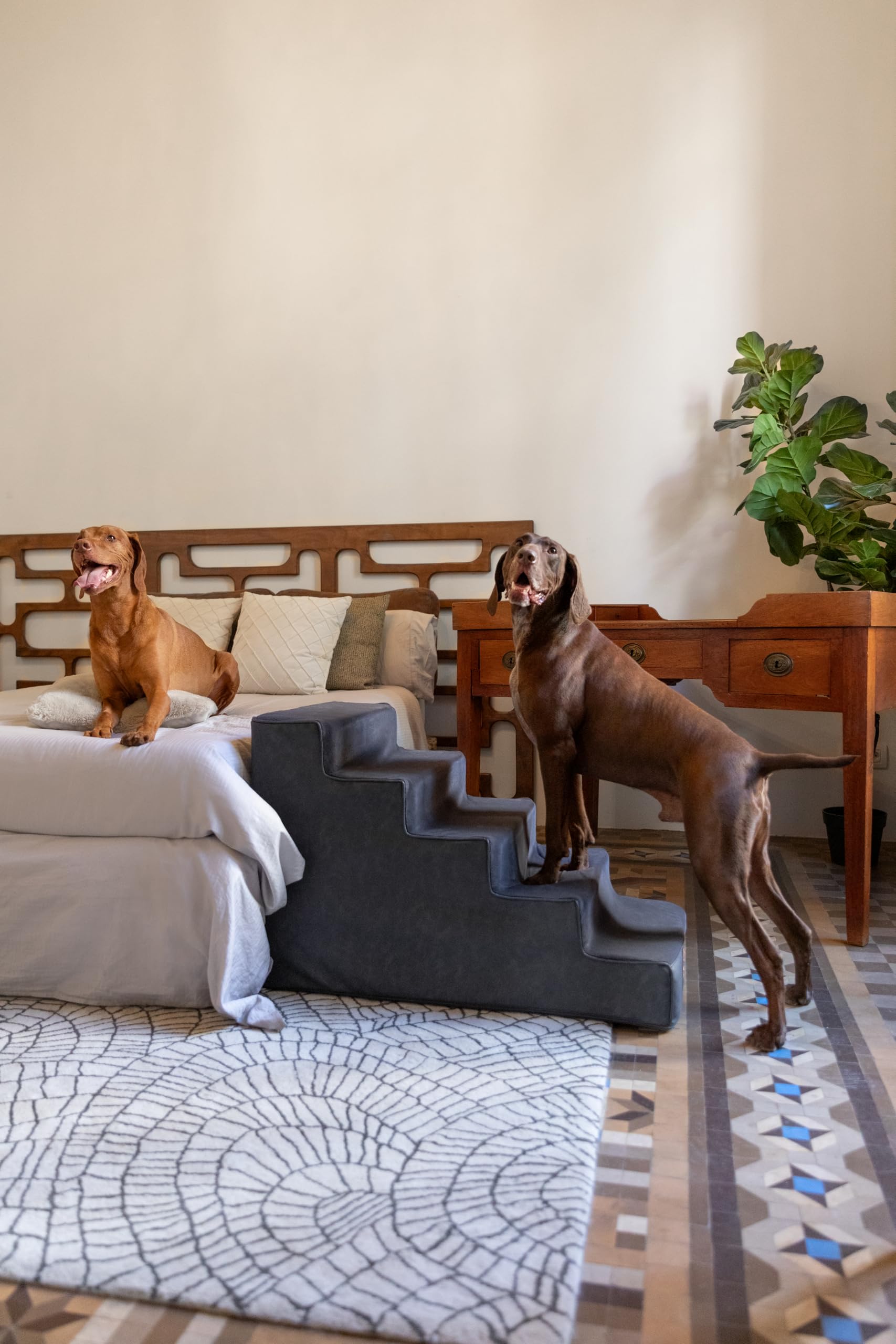 Noah & Paw leather 3-step stairs provide stable easy access for small dogs.