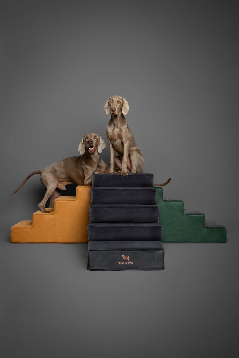 Noah & Paw 35 foam-density core delivers durable, supportive climbs.