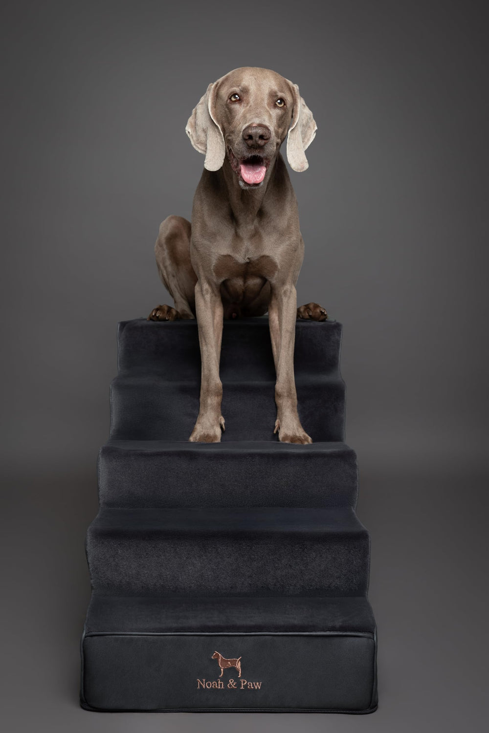 Noah & Paw leather wide design highlights sturdy steps and versatile placement.