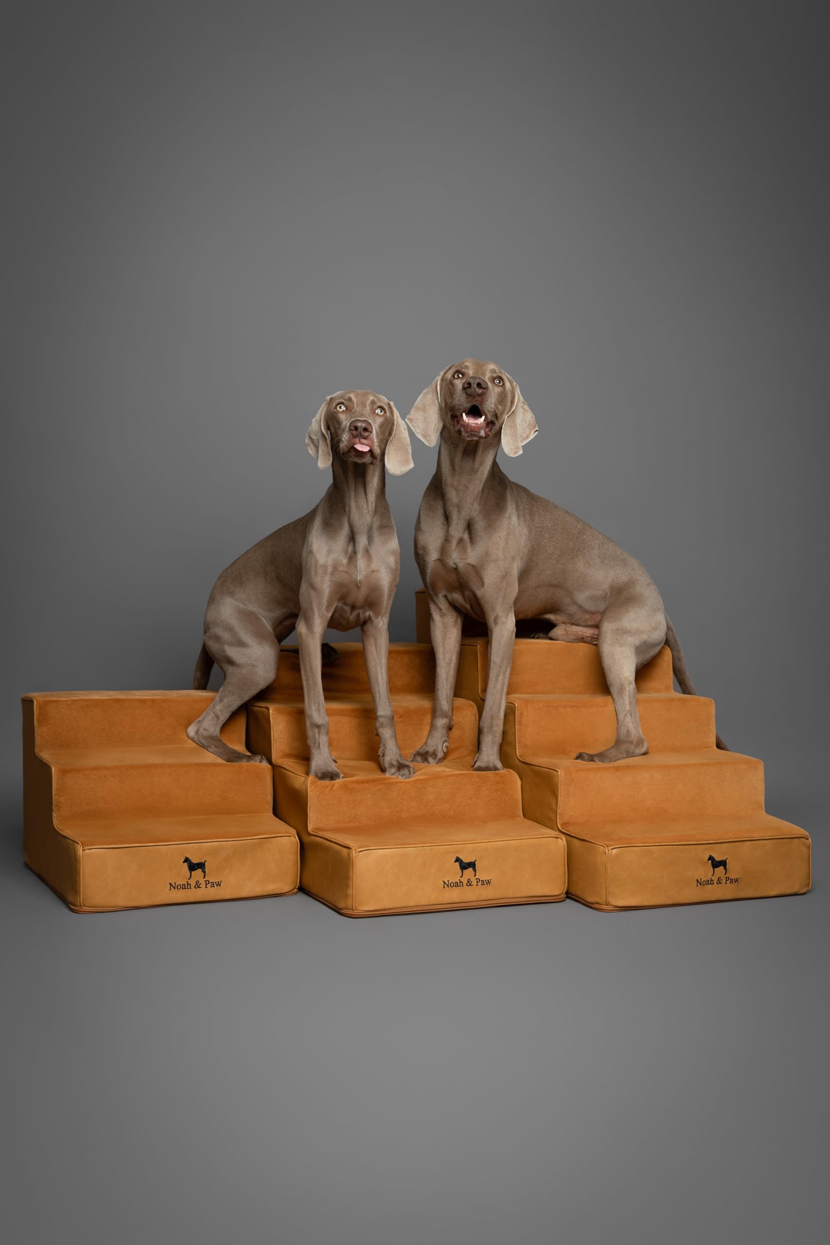Noah & Paw dog stairs leather collection home use beside bed or couch for easy access