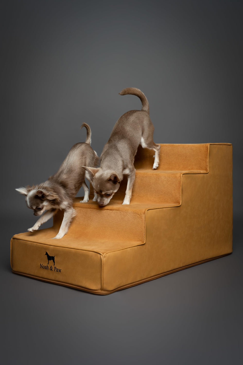 Noah & Paw dog stairs leather collection single-piece design for quick setup