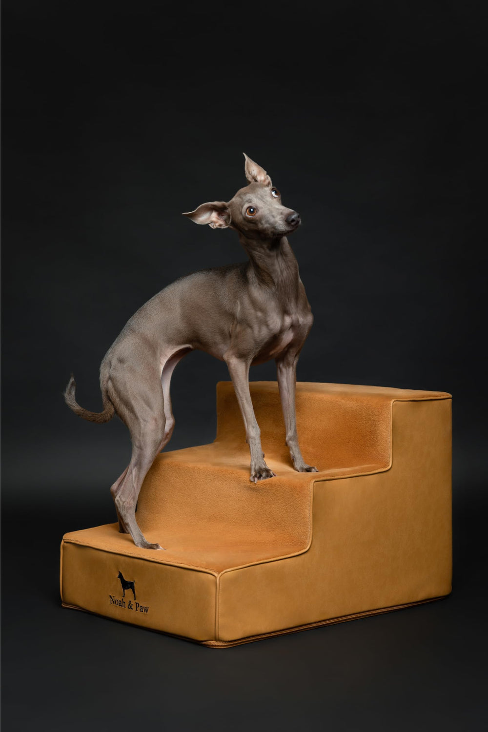 NOAH & PAW removable cover with 10mm zipper for easy washing.