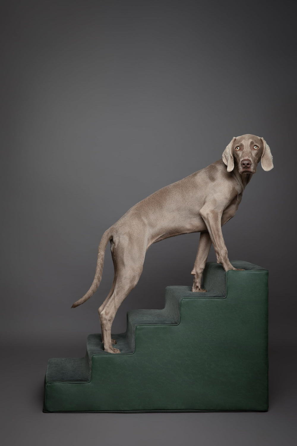 NOAH & PAW dog stairs removable cover with 10mm zipper enables easy cleaning