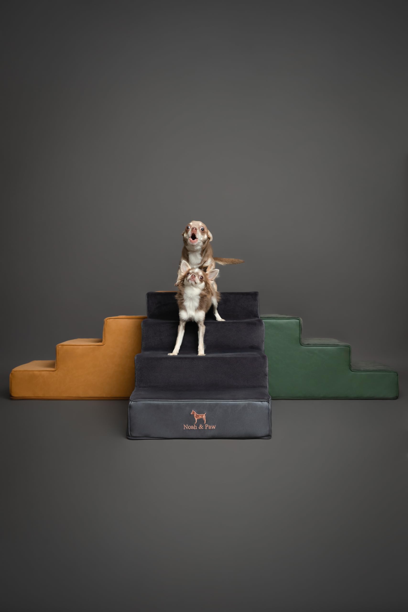 NOAH & PAW removable zipper cover enables easy washing and maintenance