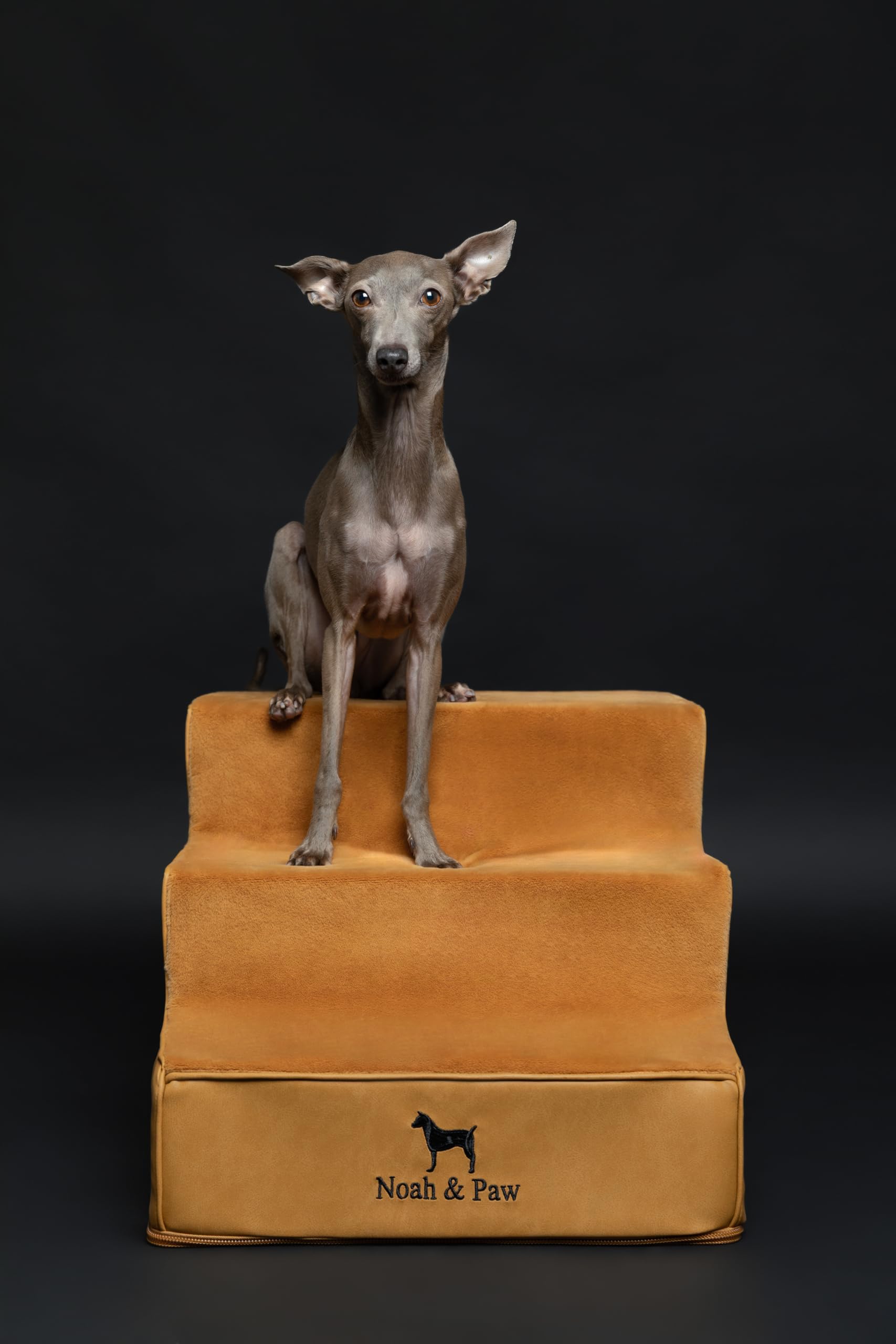 NOAH & PAW single-piece design enables hassle-free setup.