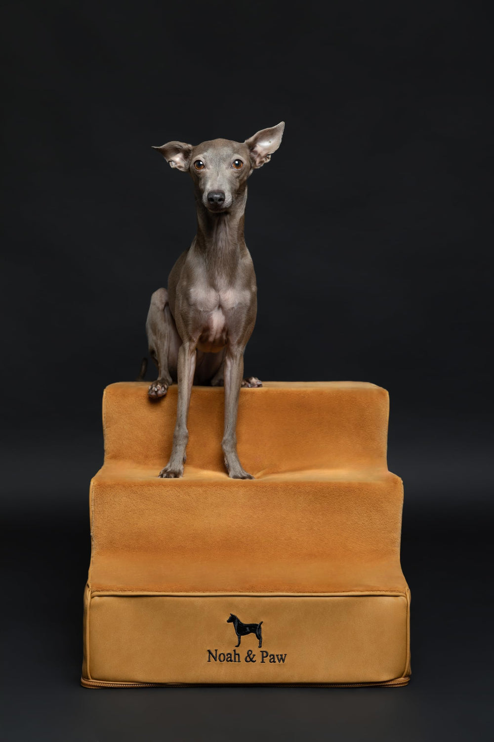 NOAH & PAW single-piece design enables hassle-free setup.