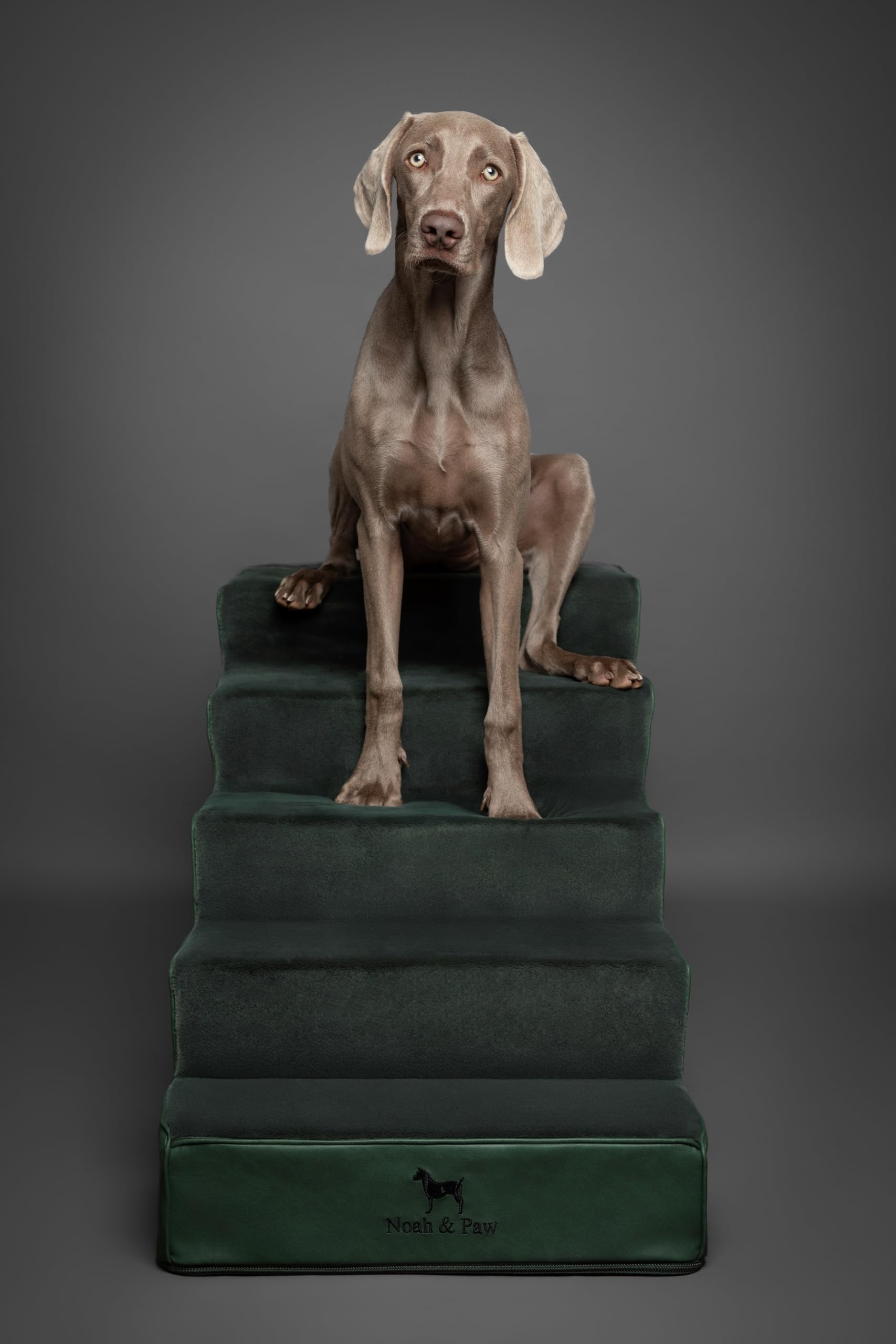 NOAH & PAW dog stairs single-piece design offers quick setup and stability