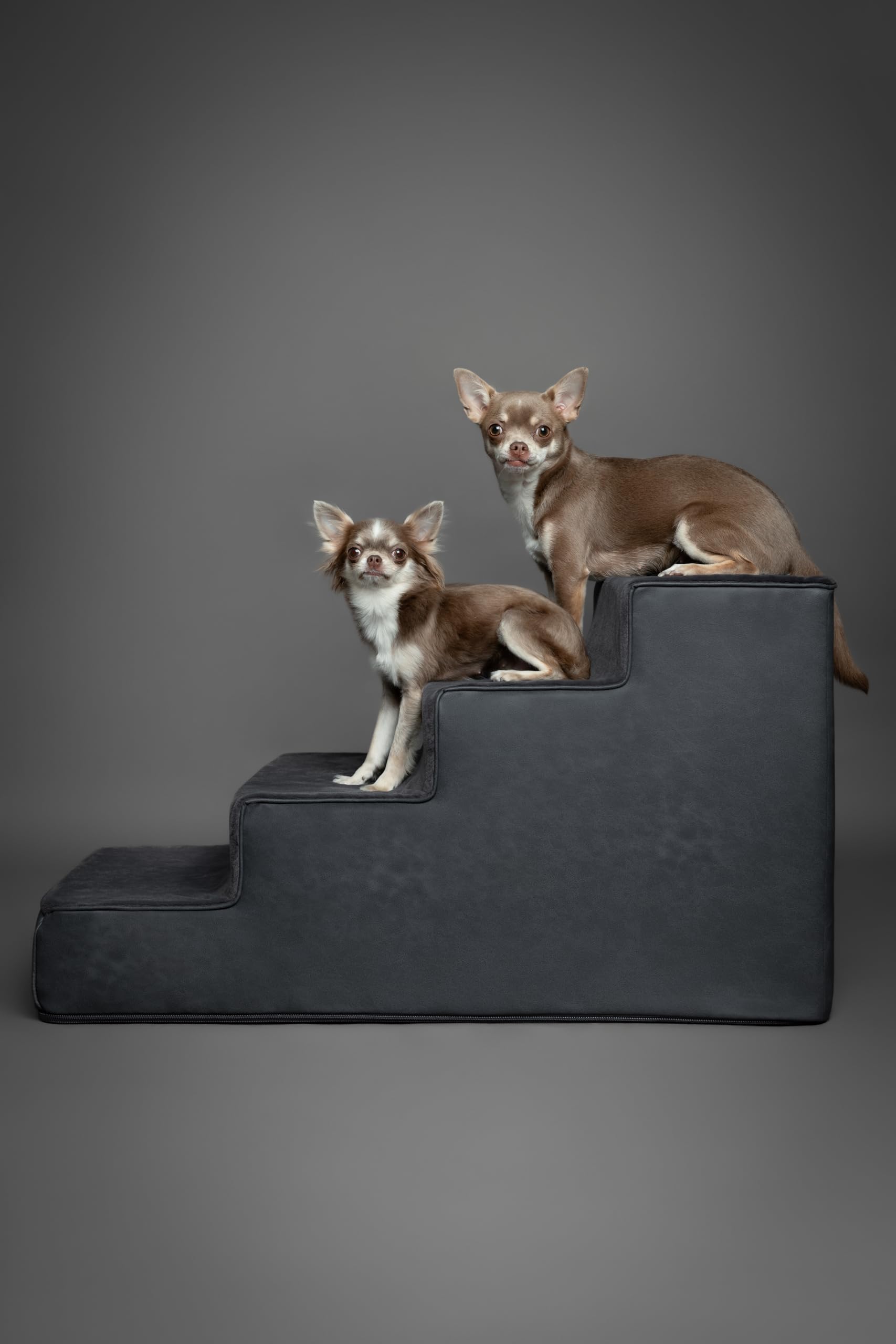 NOAH & PAW vegan leather cover shows premium decor-friendly style