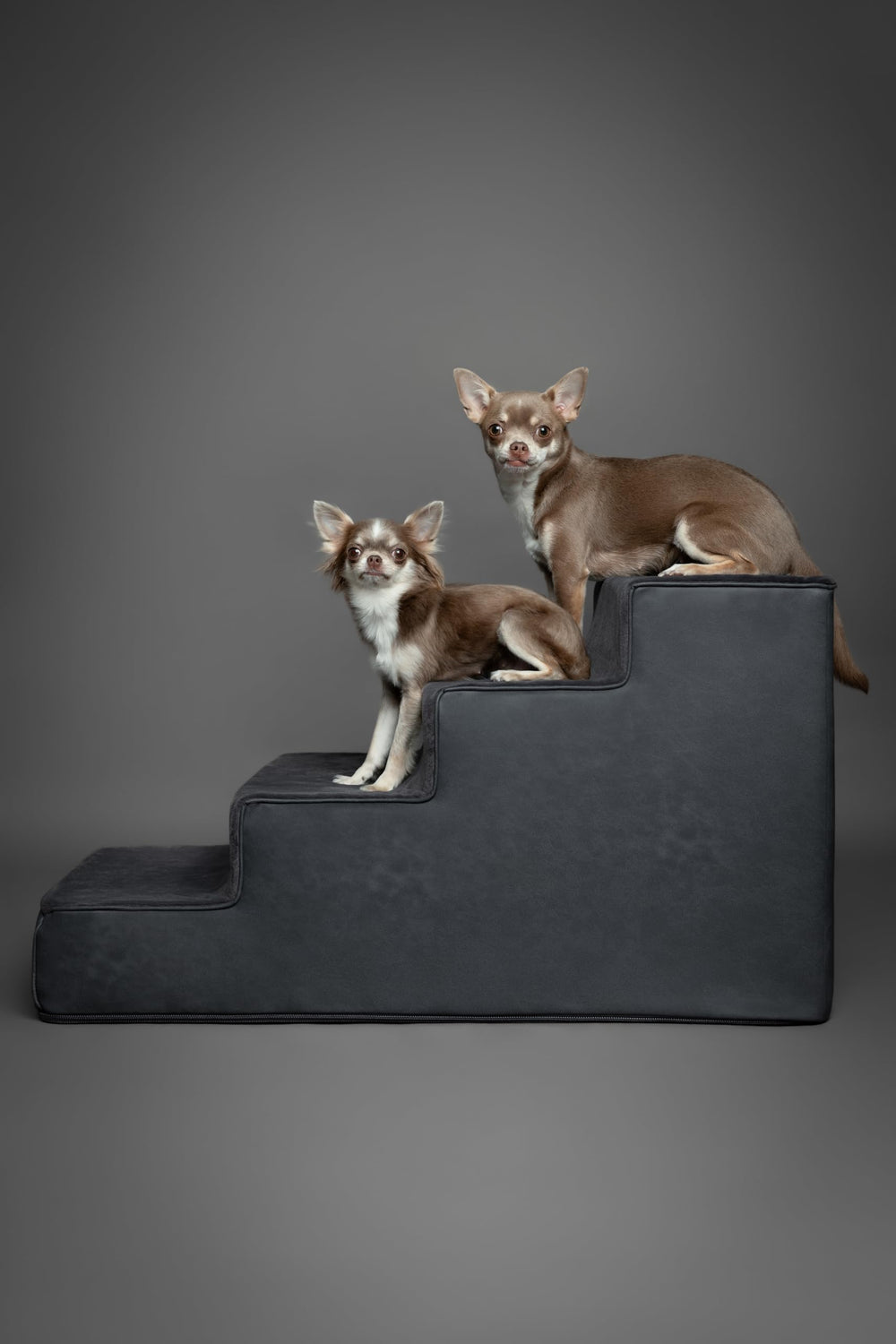NOAH & PAW vegan leather cover shows premium decor-friendly style