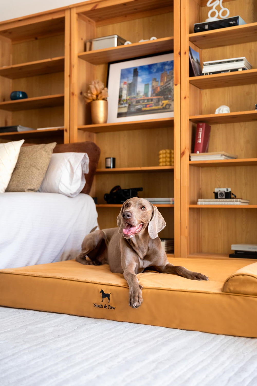 NOAH & PAW egg-shell memory foam closeup with cooling gel texture
