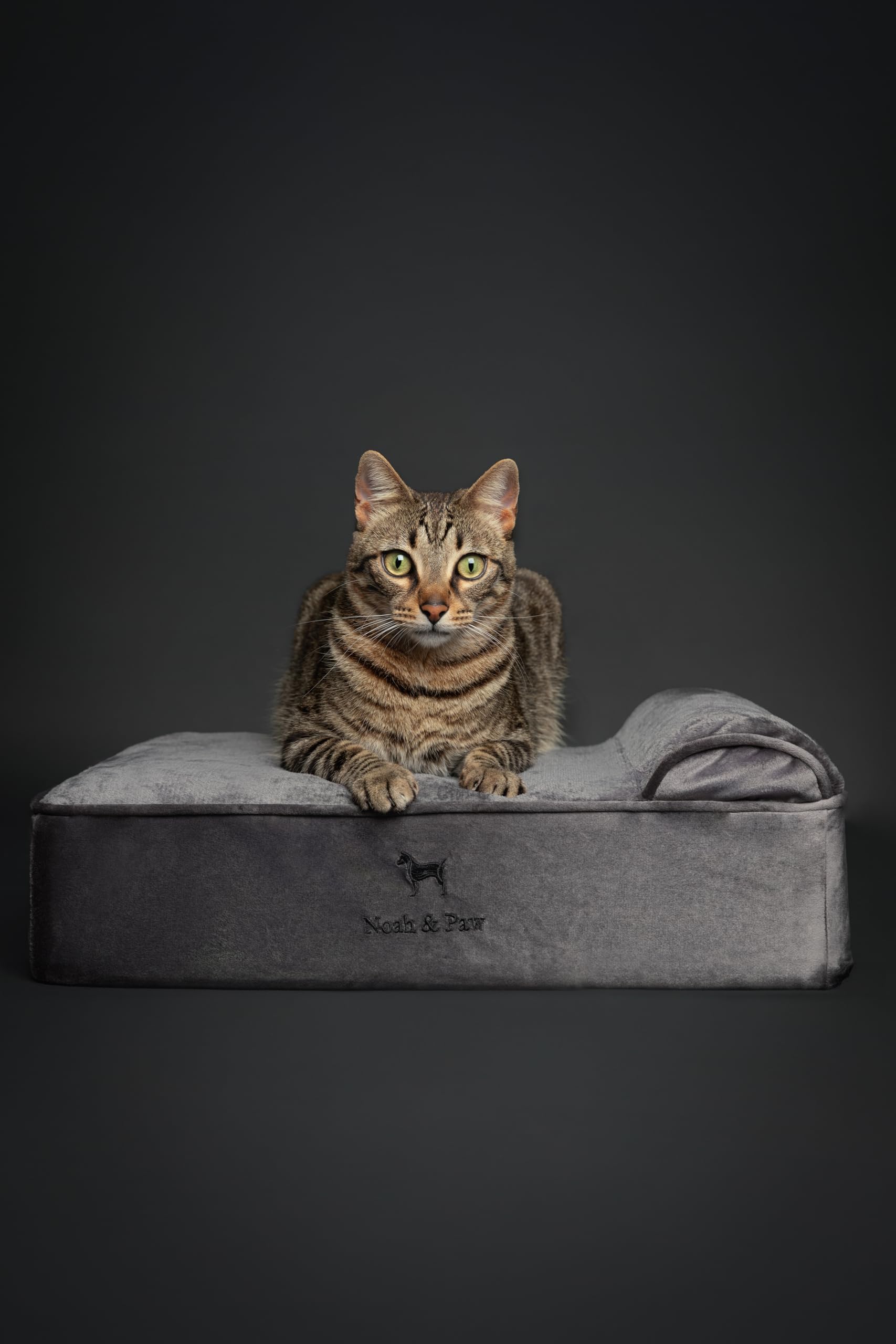 NOAH & PAW egg-shell-memory-foam-cooling-gel layer provides temperature regulation for joints.