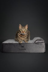 NOAH & PAW egg-shell-memory-foam-cooling-gel layer provides temperature regulation for joints.