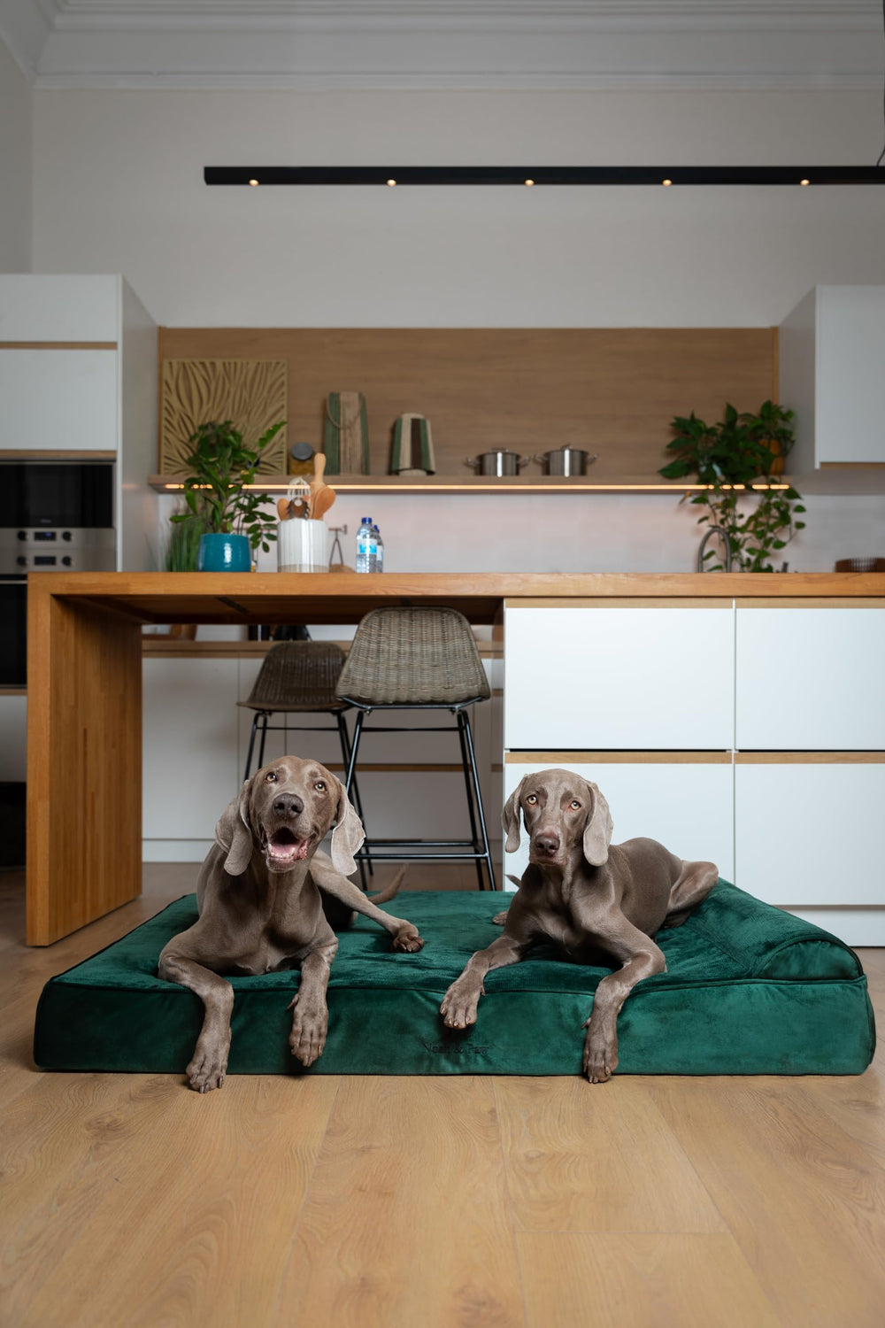 NOAH & PAW egg-shell memory-foam layer provides structured support for joints and posture.