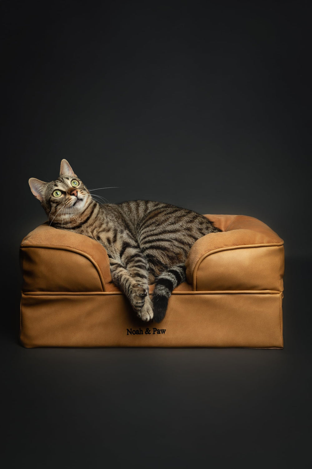 NOAH & PAW faux-leather collection bed durable easy-clean finish.