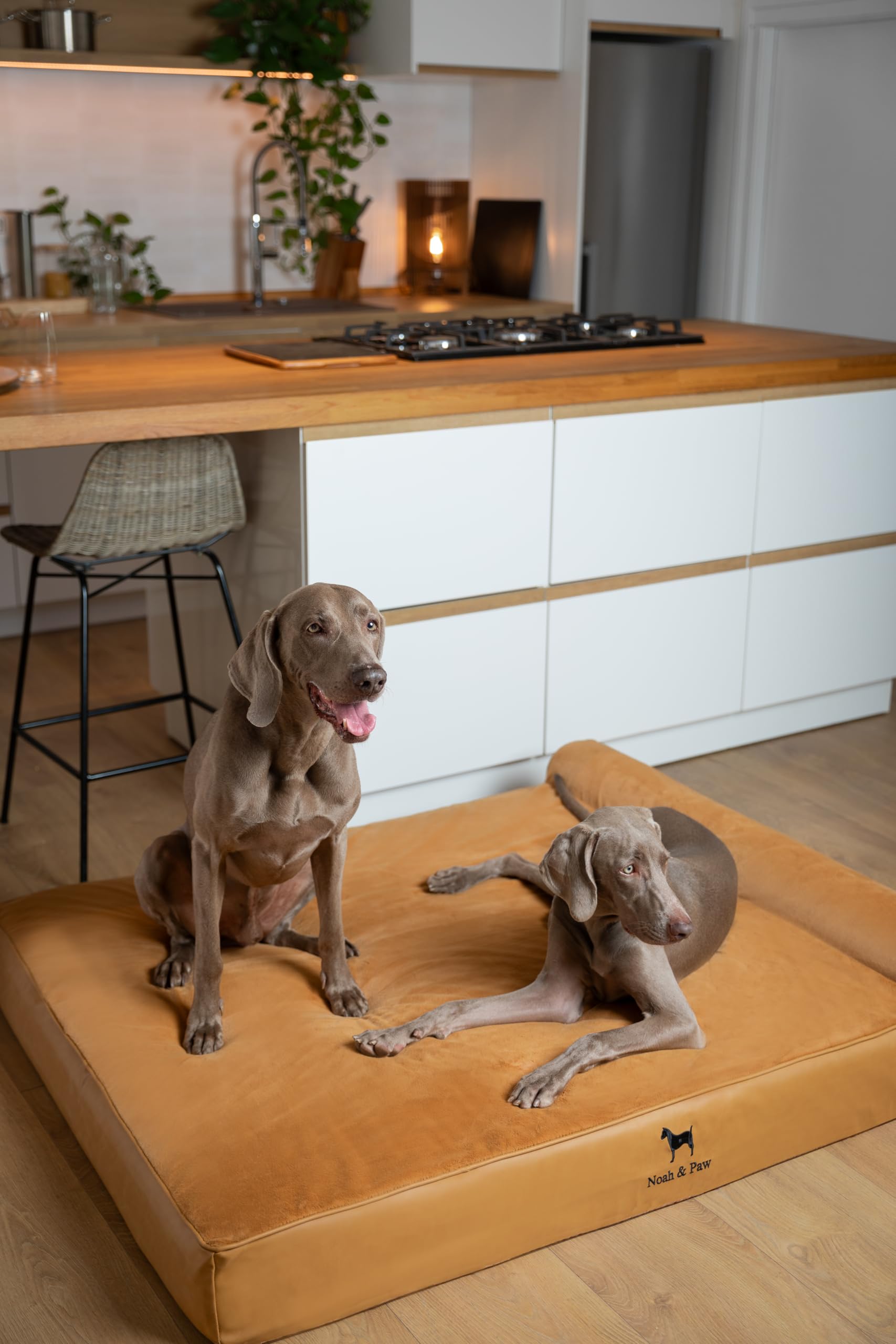 NOAH & PAW faux leather outer cover shows durable finish