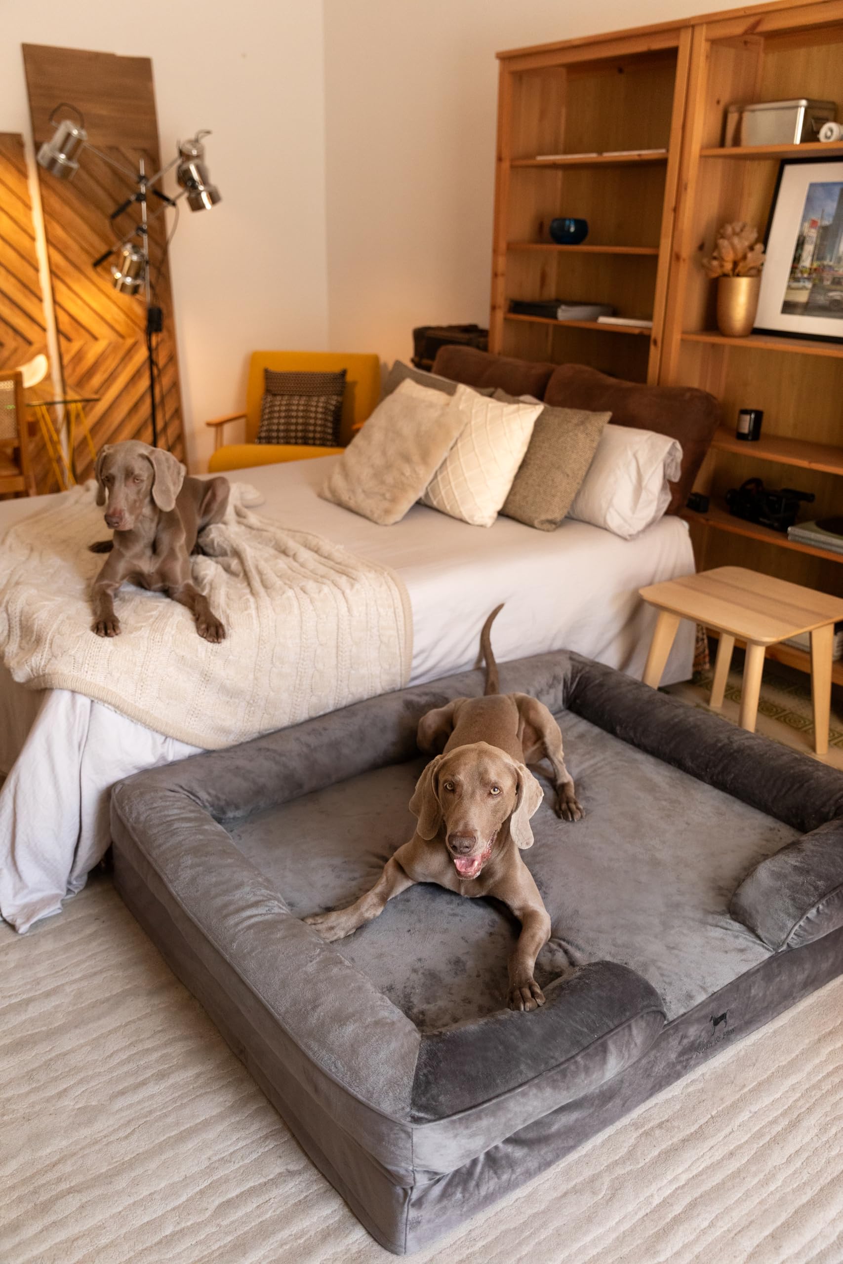 NOAH & PAW five-inch-bolster-support showcases neck and head comfort.