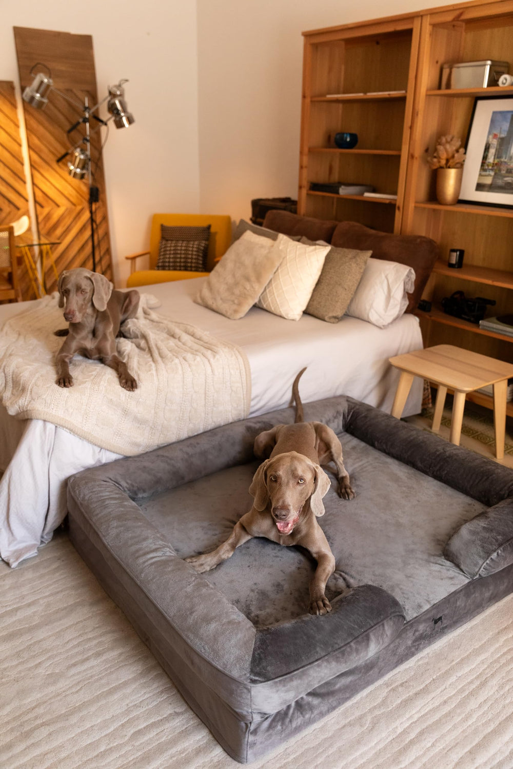 NOAH & PAW five-inch-bolster-support showcases neck and head comfort.